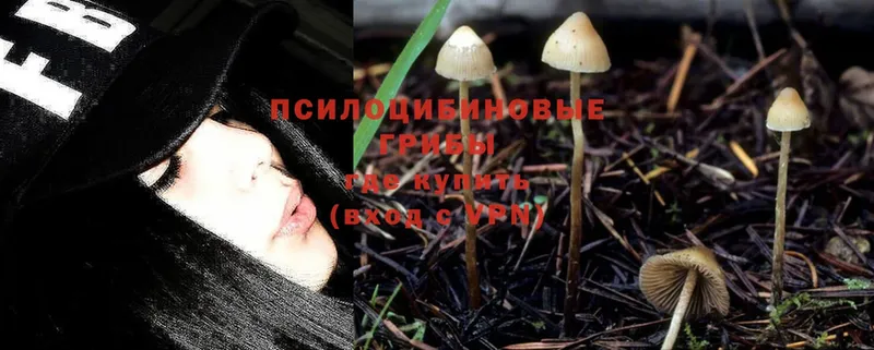 Галлюциногенные грибы Magic Shrooms  Электросталь 